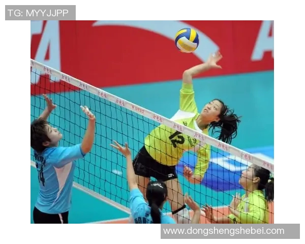 杨敏倾情分享排球技巧与心得助你提升竞技水平与团队配合能力