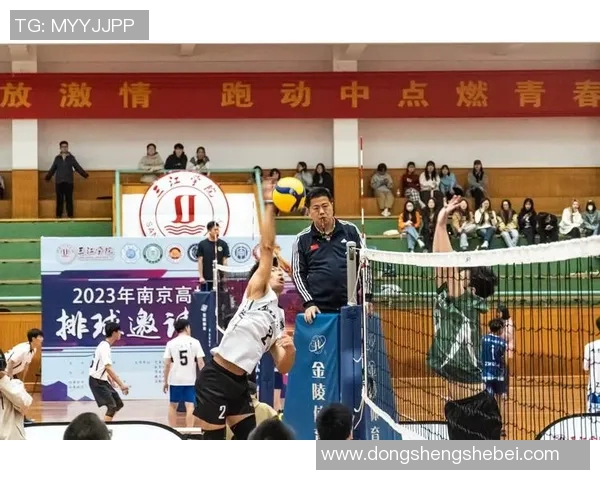 深圳排球队在排球配合上取得历史新高展现团队实力与创新精神