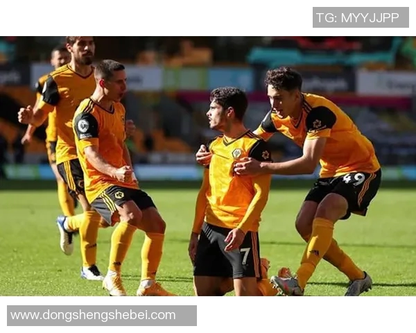 英超乒乓球巨献揭秘南京乒乓球队的训练与竞技状态分析