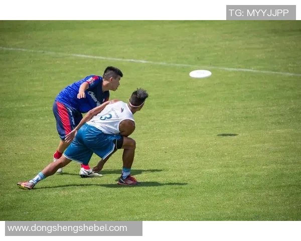 杭州飞盘队阵地战分析与反思探讨运动飞盘的得失与发展 杭州飞盘队阵地战分析与反思探讨运动飞盘的得失与发展