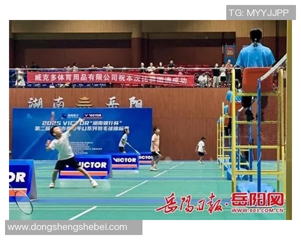 羽毛球纪实：见证北京羽毛球队奋勇拼搏与辉煌成就的历程