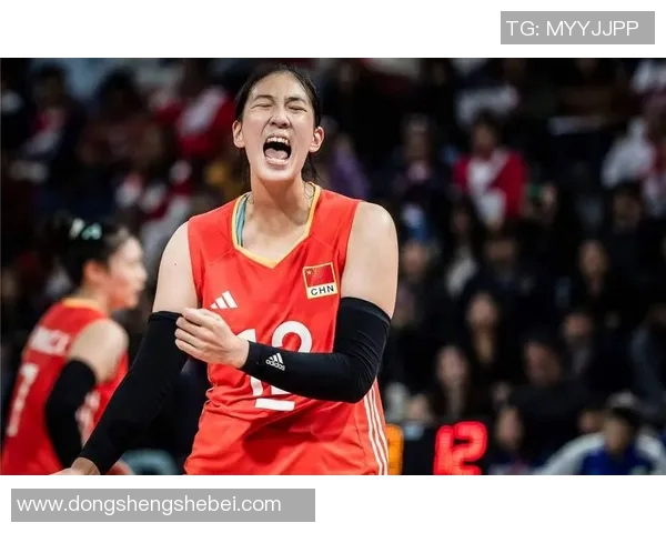 重庆排球队以灵活性优势领跑最新排球灵活性TOP10榜单引发关注