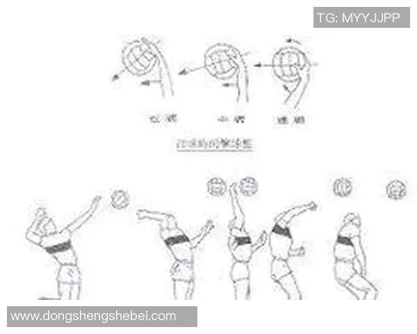 体育实时数据西安排球队的整体压制策略与排球战术深度解析