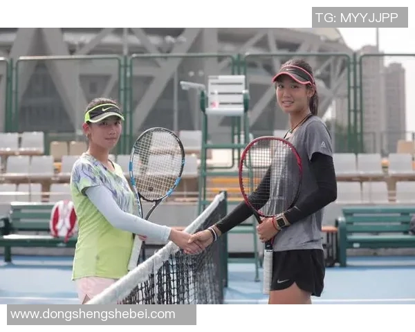 西安网球队引领最新网球意识TOP10榜单,展现卓越实力与潜力实时数据 西安网球队引领最新网球意识TOP10榜单,展现卓越实力与潜力实时数据