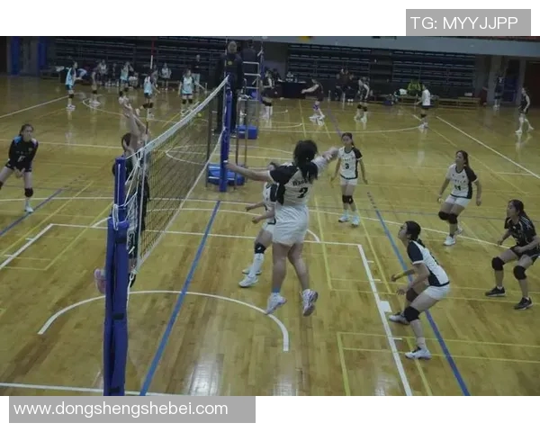 运动最新数据北京排球队耐力训练揭秘提升竞技水平的秘密与挑战